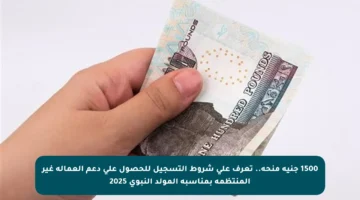 1500 جنيه منحة.. تعرف على شروط التسجيل للحصول على دعم العمالة غير المنتظمة بمناسبة المولد النبوي 2025